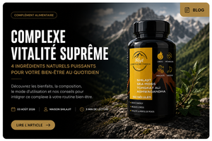 Sea Moss : Bienfaits, Posologie et Guide Complet d'Utilisation