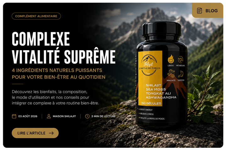Sea Moss : Bienfaits, Posologie et Guide Complet d'Utilisation