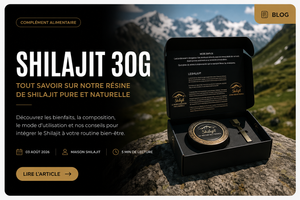 Shilajit : bienfaits, posologie et précautions