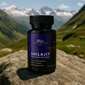 Shilajit et Sport : Quel Dosage pour la Performance et la Récupération Musculaire ?