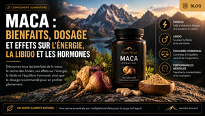 Maca : Bienfaits, Dosage et Effets sur l'Énergie, la Libido et les Hormones