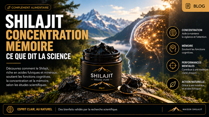 Shilajit concentration mémoire – ce que dit la science