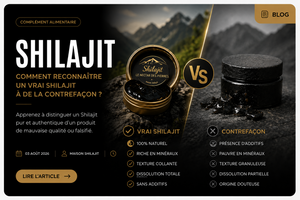 Comment reconnaître un vrai Shilajit d’une contrefaçon ?