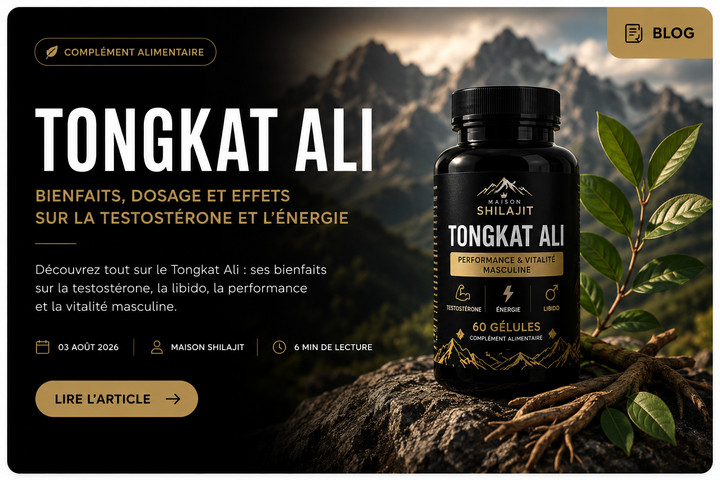 Tongkat Ali : Bienfaits, Dosage et Effets sur la Testostérone et l'Énergie