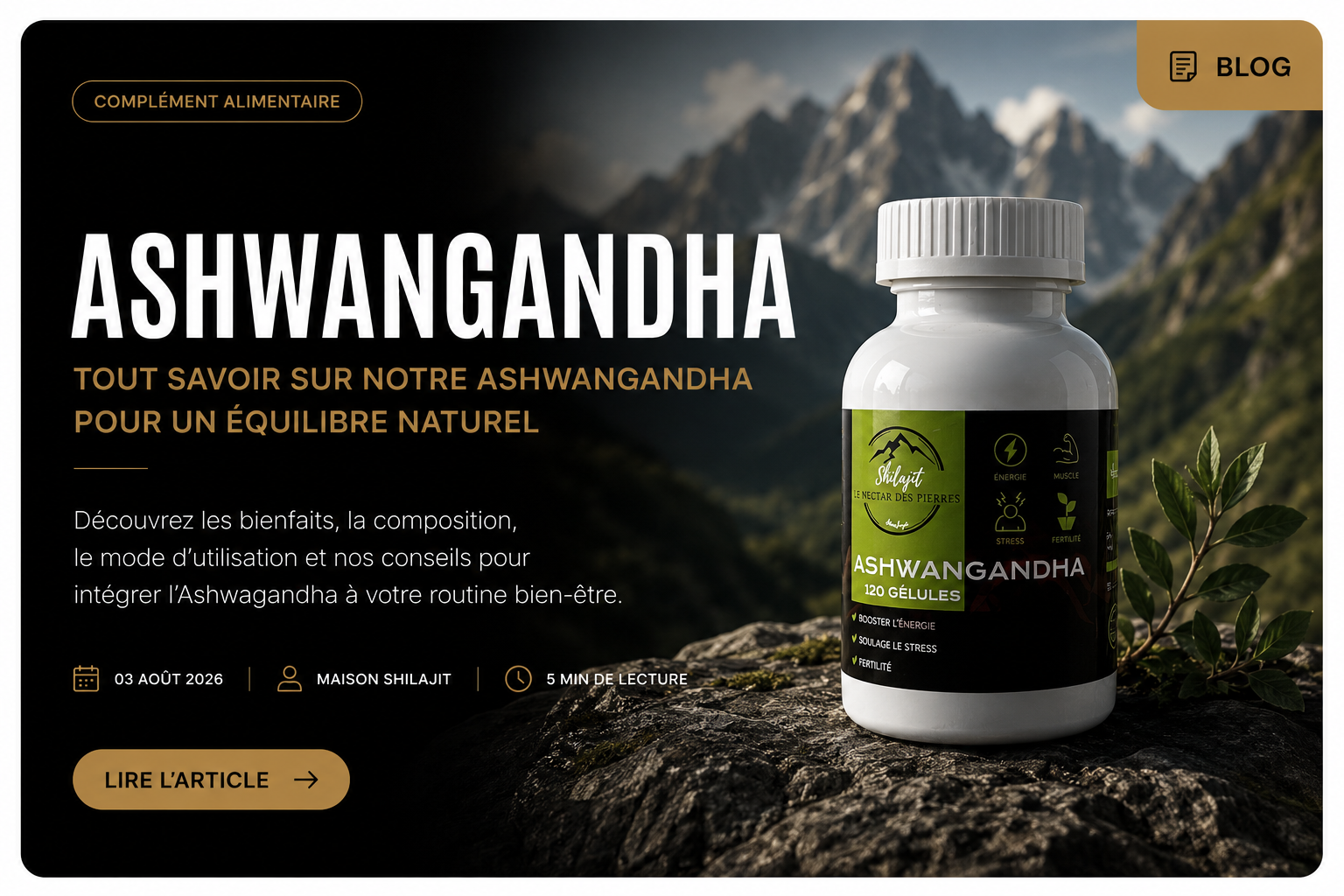 Ashwagandha : Bienfaits, Dosage et Effets sur le Stress, le Sommeil et la Récupération