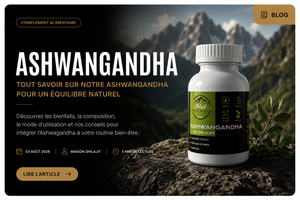 Ashwagandha : Bienfaits, Dosage et Effets sur le Stress, le Sommeil et la Récupération