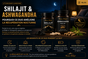 Shilajit et Ashwagandha : Pourquoi ce Duo Améliore la Récupération Nocturne