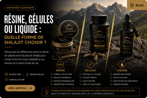 Résine, gélules ou liquide : quelle forme de Shilajit choisir ?