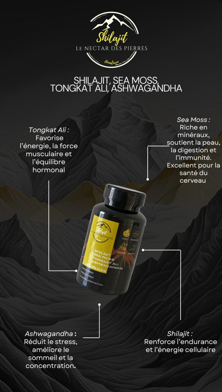 Vitalité 4-en-1 – Sea Moss • Tongkat • Ashwagandha • Shilajit