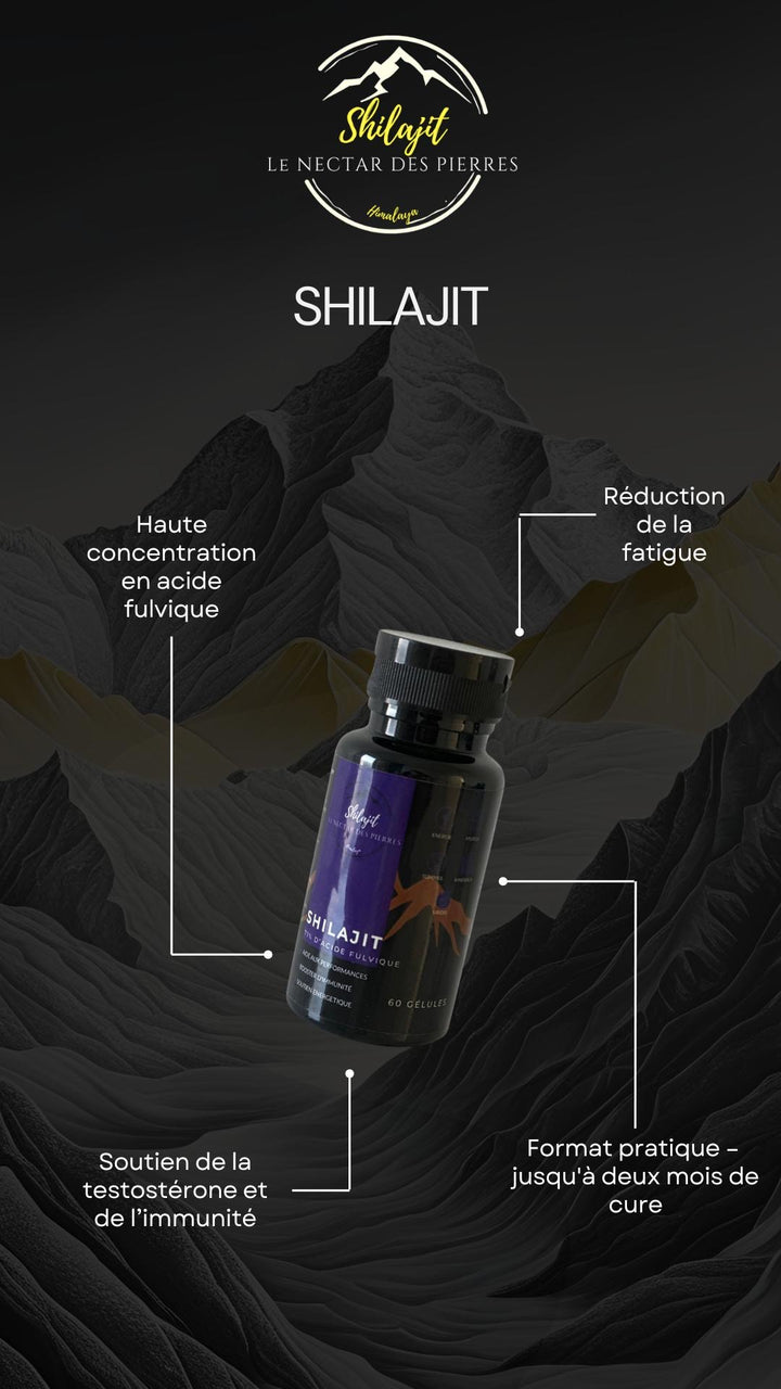 Shilajit 60 gélules