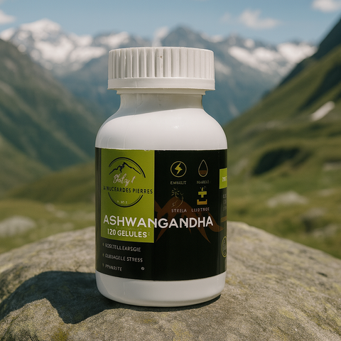 Ashwagandha – 120 gélules
