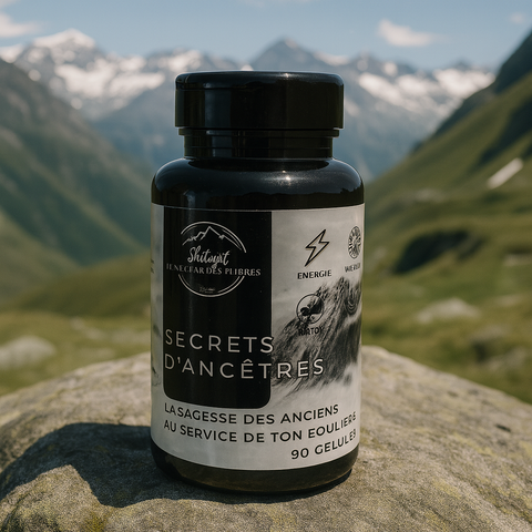 Secret d’Ancêtre – Shilajit, Nigelle & Costus Indien – 90 Gélules