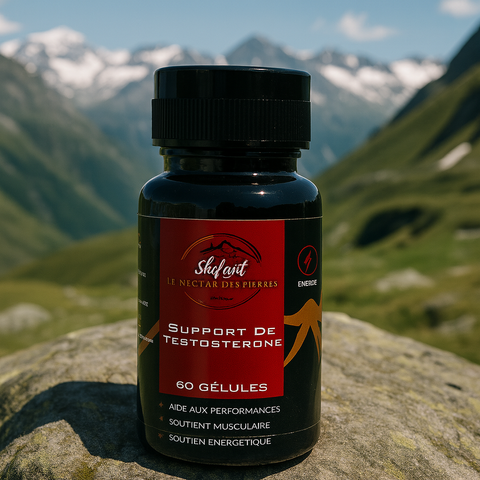 Complexe Vitalité Homme – 60 Gélules
