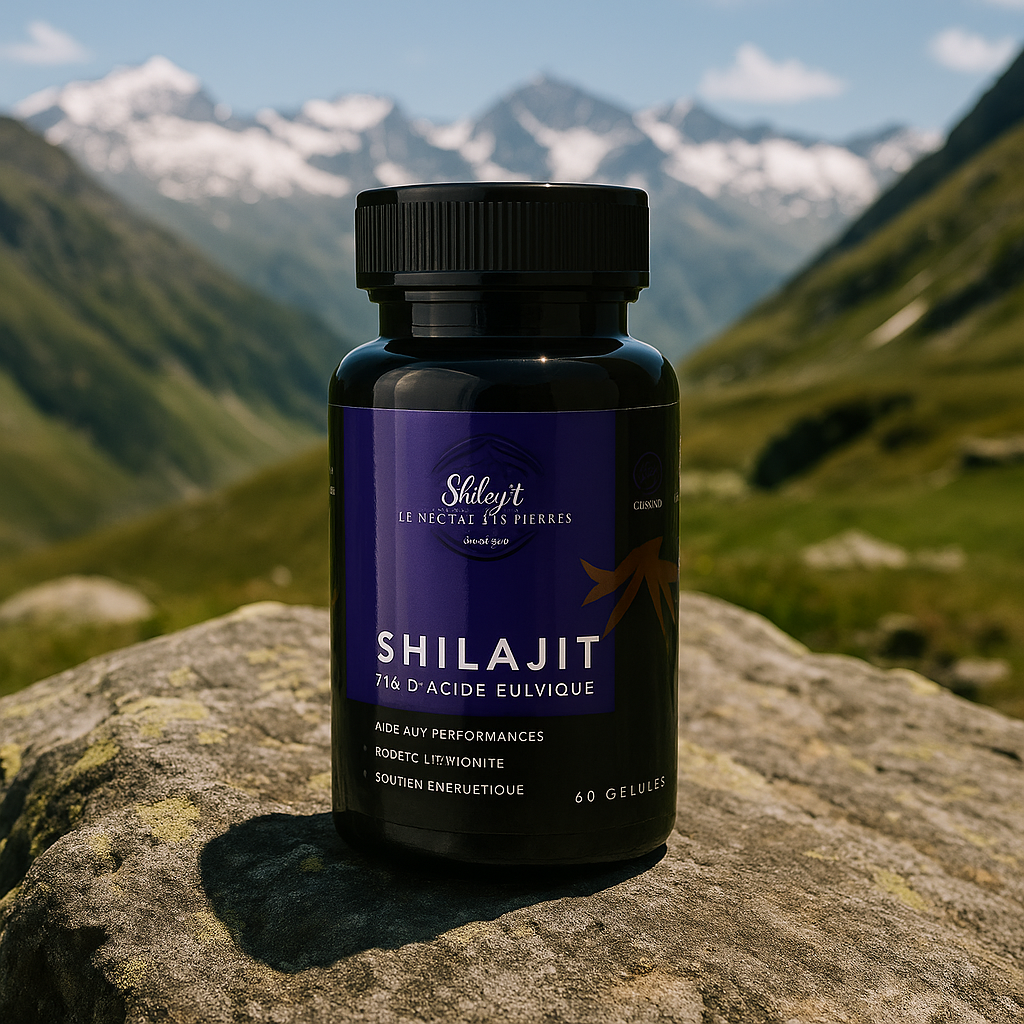 Shilajit 60 gélules