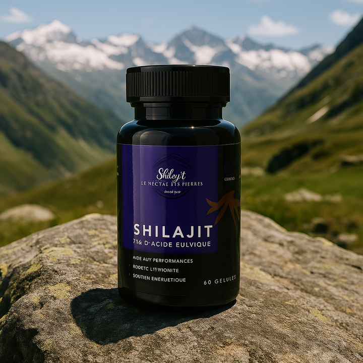 Shilajit 60 gélules