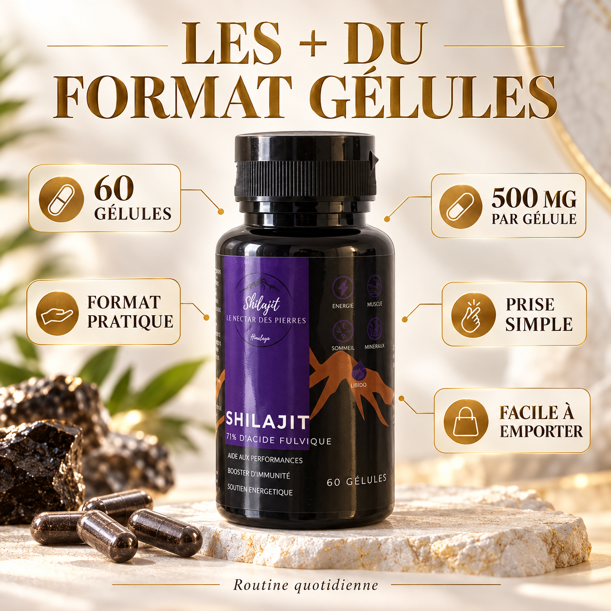 Shilajit en gélules – 60 unités