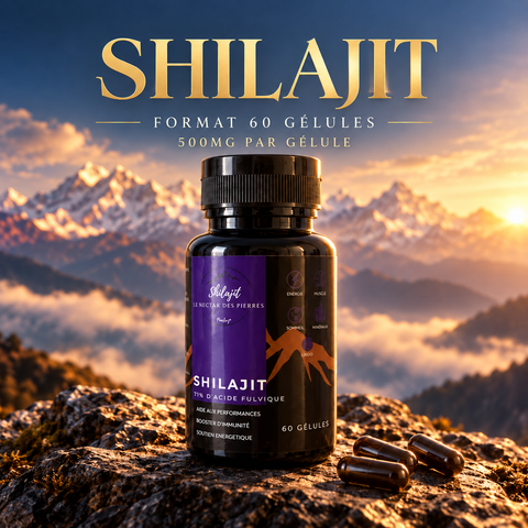 Shilajit en gélules – 60 unités