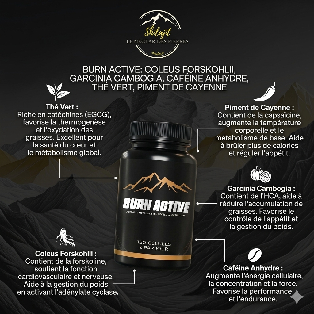 Alpha burn STACK - perte de poids