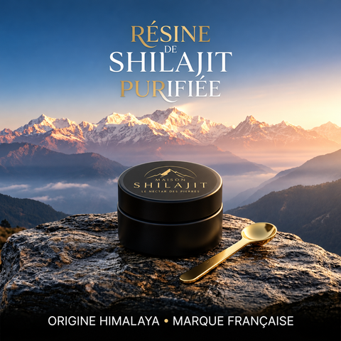 Résine de Shilajit Pur de l’Himalaya – 60 g
