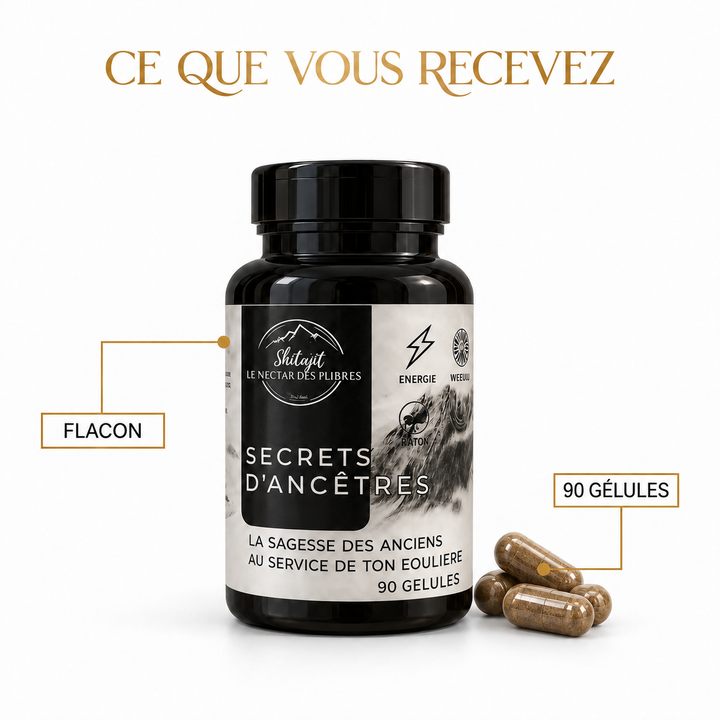 Secret d’Ancêtre – Shilajit, Nigelle & Costus Indien – 90 Gélules