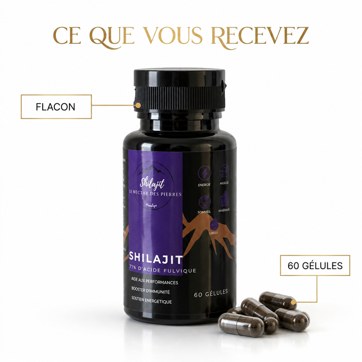Shilajit en gélules – 60 unités