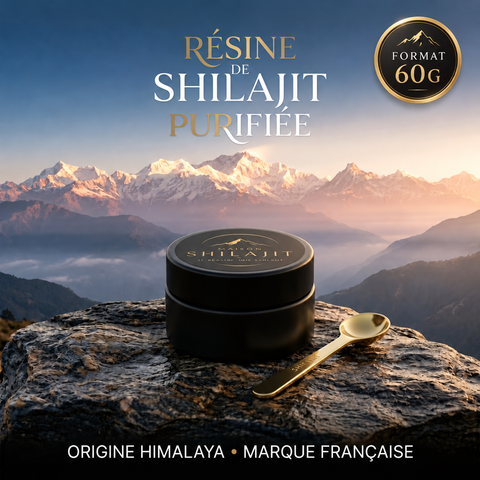 Résine de Shilajit Pur de l’Himalaya – 60 g