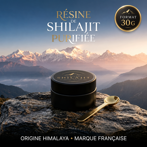 Résine de Shilajit Pur de l’Himalaya – 30 g