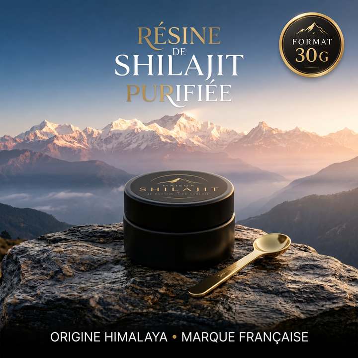 Résine de Shilajit purifiée Maison Shilajit 30 g – origine Himalaya